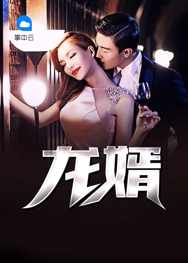 龙婿叶辰小说