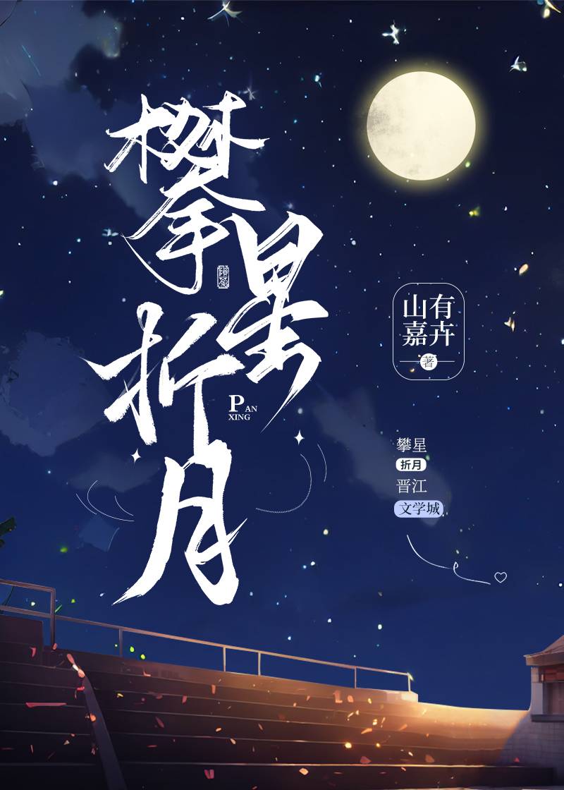 攀星折月 小说