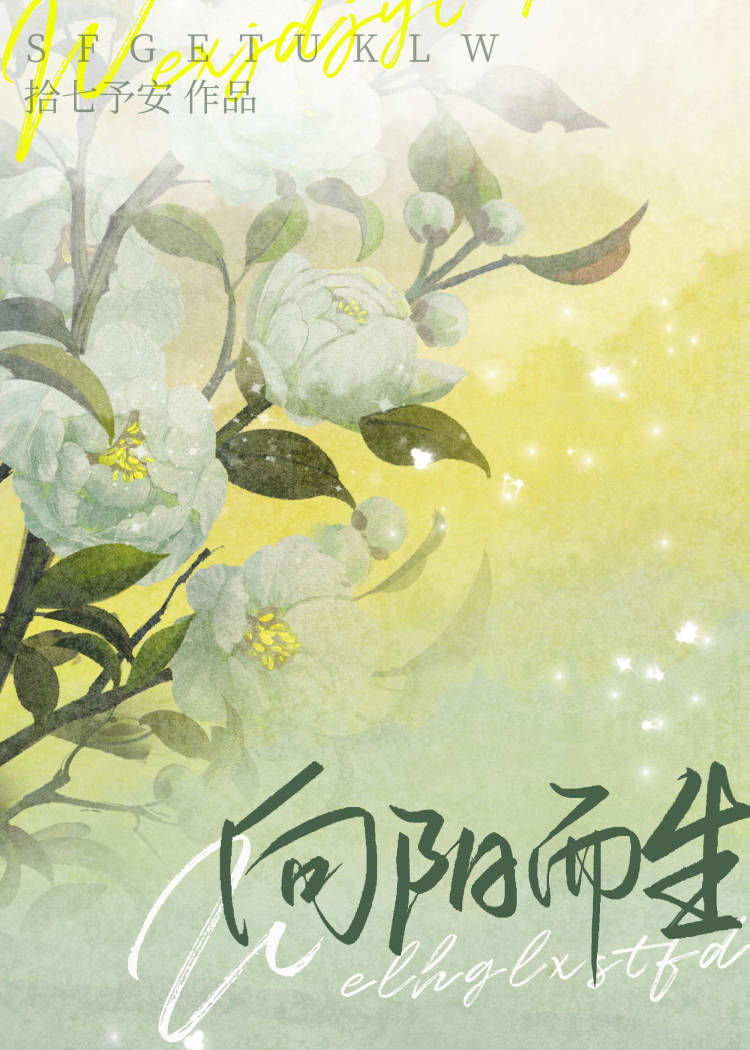 我就宠我老婆怎么了[娱乐圈]免费