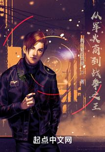 从军火商到战争之王小说无错字版