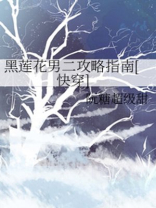 黑莲花男二攻略指南txt
