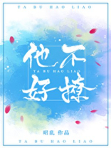 他不好撩晋江