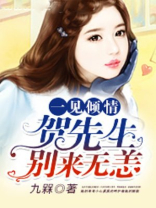 贺医生的一见钟情