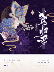 重生之鸢归君心全文免费阅读全文重
