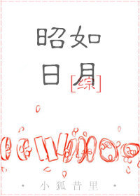 综昭如日月小狐txt
