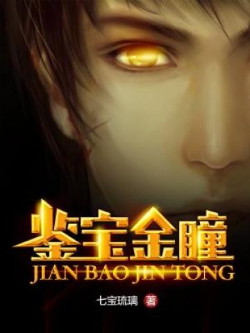 宝鉴小说