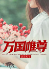 万国v9