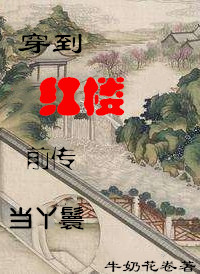 穿到红楼前传当丫鬟 小书包网