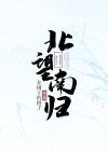 北望南归雁什么意思