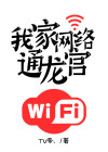 我家网络通龙宫百科