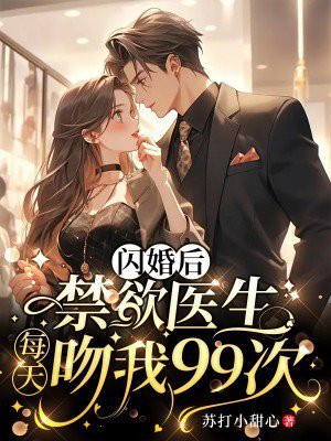 医生闪婚宠文