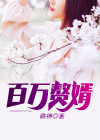 百万赘婿漫画