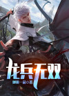龙无双a款 缺点
