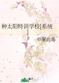 种太阳特训学校 百度网盘