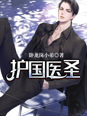 护国医婿小说免费阅读