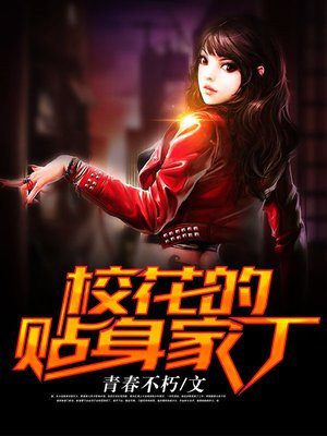 贴身家丁 小说