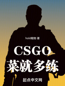 csgo:菜就多练全文阅读
