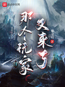 那个玩家又来了 小说