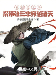 我杨过之子,拐带张三丰穿越诸天 小说