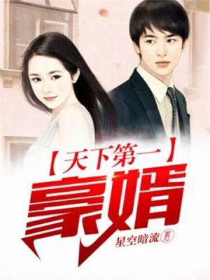 天下第一豪婿在线阅读