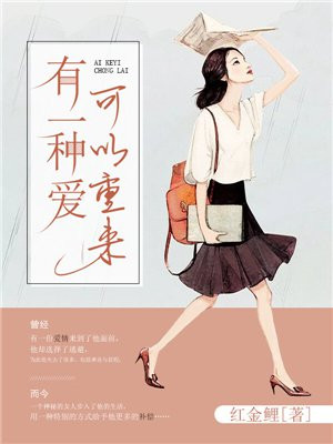 有一种爱可以重来小说