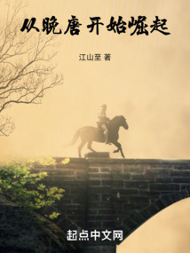 崛起:从大唐1314年开始