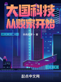 大国科技小说