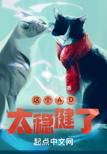 这个ad太稳健了小说