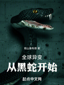 全球异变的小说
