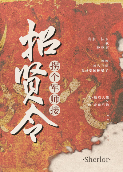 拐个军师接招贤令25