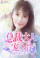 总裁大人宠入骨百度网盘