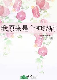 我原来是个神经病讲的什么
