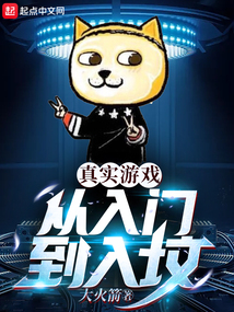 真实游戏:从入门到入坟免费