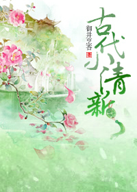 古代小清新TXT下载