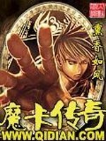 魔卡传奇 小说