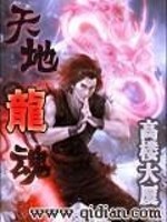 天地龙魂小说免费阅读
