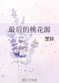 最后的桃花源小说