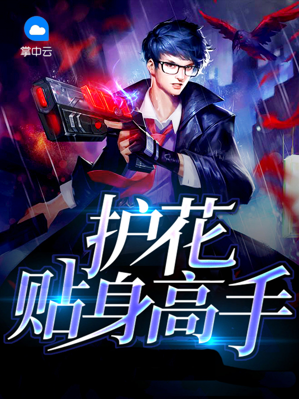 护花贴身高手林逸 小说