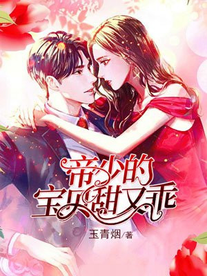 帝少的宝贝 小说