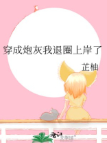 穿成炮灰我退圈上岸了全文