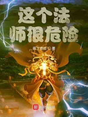 这个法师很危险 小说