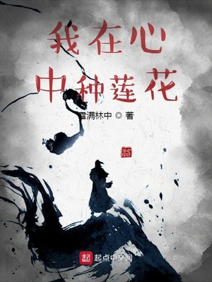 我在心中种莲花TXT下载