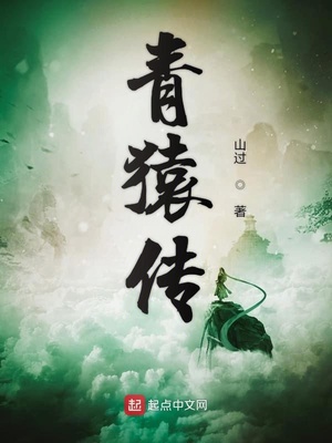 青猿传 山过