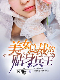 美女总裁的贴身兵王夜风武
