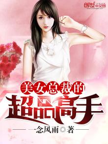 美女总裁的超品高手 小说