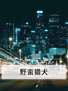 野蛮矛士