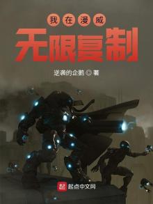 我在漫威无限复制 小说