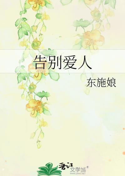 告别爱人 小说