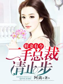 总裁的二手新妻简介