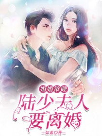 婚情荡漾,陆少追妻请排队小说